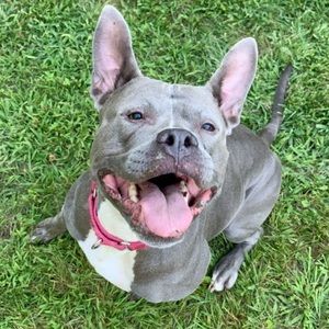 Meet your Posher, Brooklynne